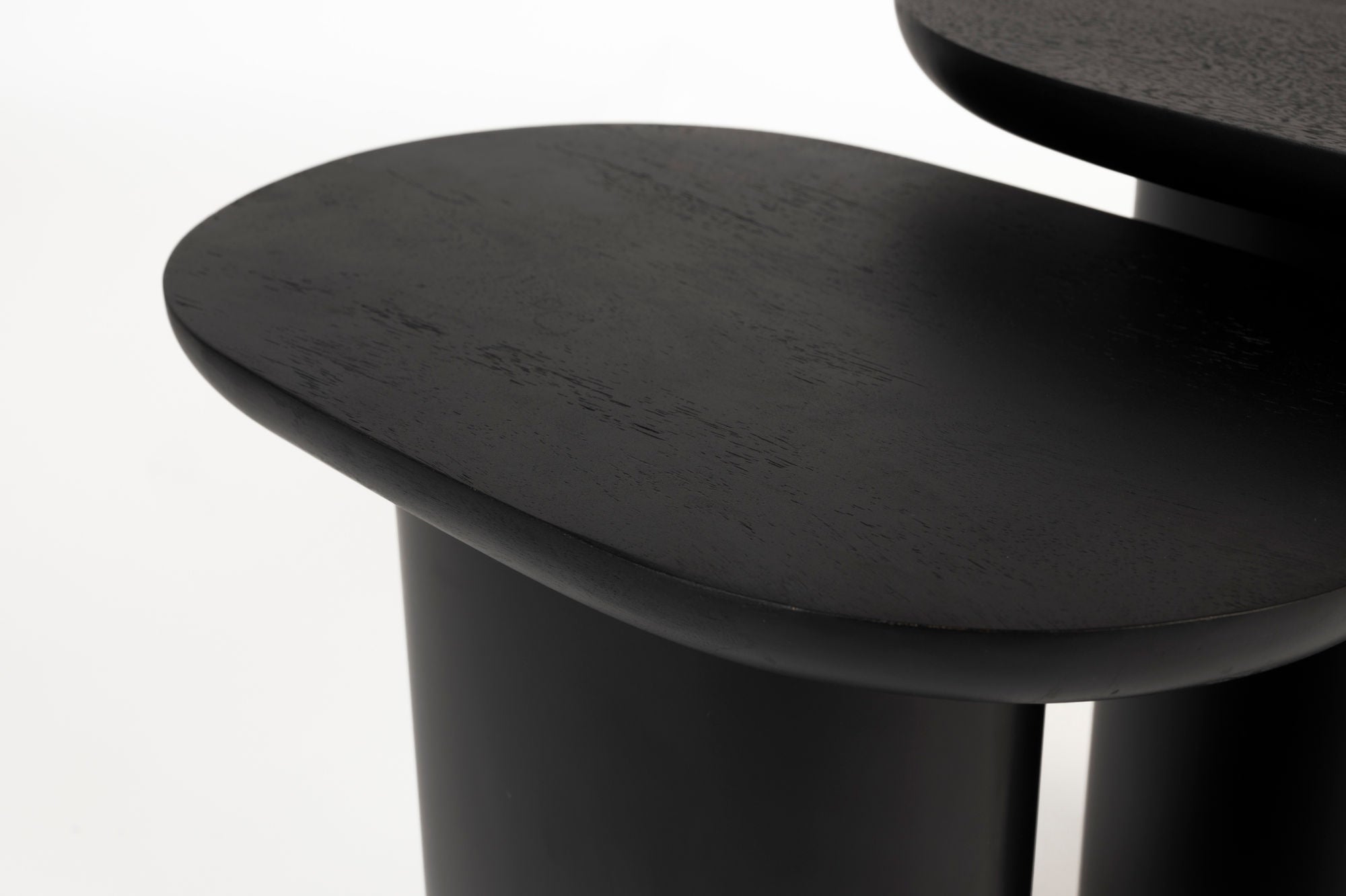 Set of 2 Bela Organic Black Side Tables
